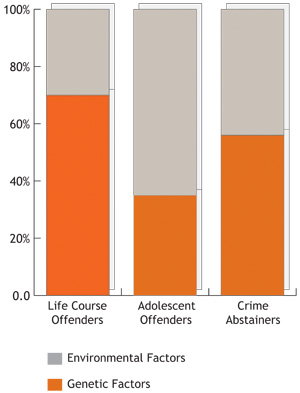 Bar chart showing percentage of environmental factors and genetic factors for three groups. For life course offenders, about seventy per cent is genetic and thirty per cent is environmental. For adolescent offenders about thirty-five per cent is genetic and sixty-five is environmental. For crime abstainers nearly sixty per cent is genetic factors and more than forty per cent is environmental.